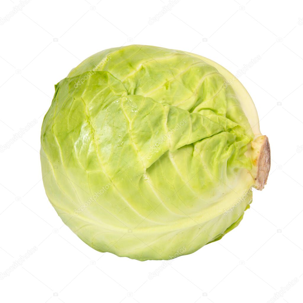 Green natural cabbage head isolated on the white background