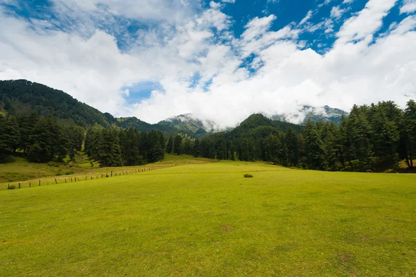 Keşmir aru Vadisi pahalgam tepe dağ doğa