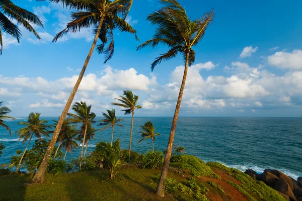 Φύση τοπίο Ωκεανού ορίζοντα Τάλπε Σρι Λάνκα — Φωτογραφία Αρχείου