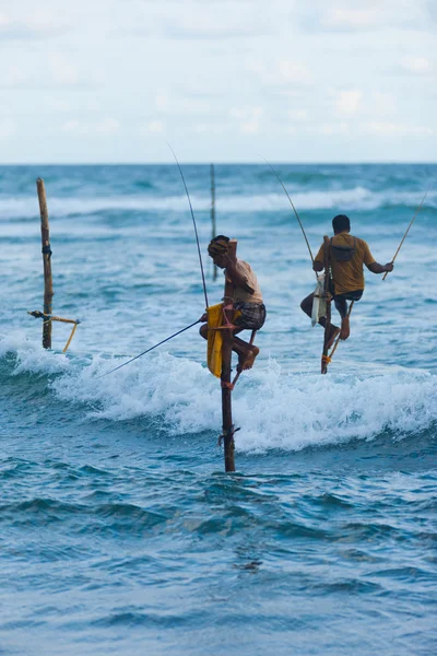 Stilt Fishing Sri Lanka Traditional Pole Dip Wave — Stock Photo, Image