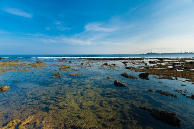 küçük andaman adalar mercan kaya gelgit havuzları