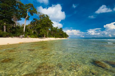kristal berraklığında su sığ vahşi bozulmamış beach