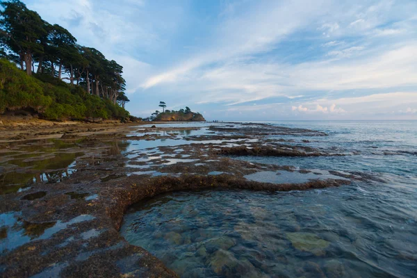 Tij zwembaden kust neil eiland andaman landschap — Stockfoto