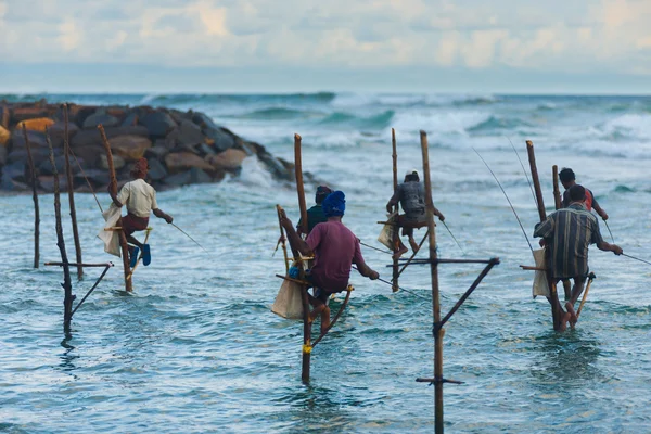 Molti Stilt Pesca Sri Lanka Roccia tradizionale — Foto Stock