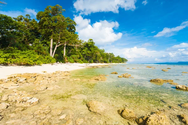 Lågvatten stenar orörda orörda stranden skog — Stockfoto