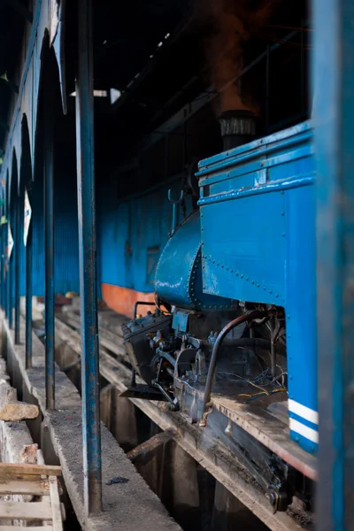 Giocattolo treno motore capannone Darjeeling India Railyway — Foto Stock