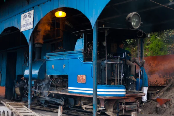 Driver Toy Train Parked Shed Angled Darjeeling — Stock Photo, Image