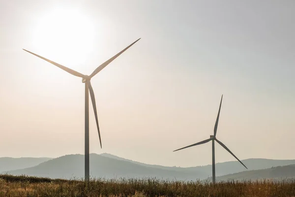 Alternative energy wind turbines on green farm — Zdjęcie stockowe