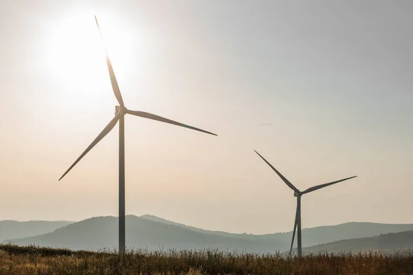 Alternative energy wind turbines on green farm — Zdjęcie stockowe