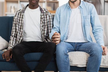 Kanepede el ele tutuşan çok ırklı eşcinsel çifti kapatın.