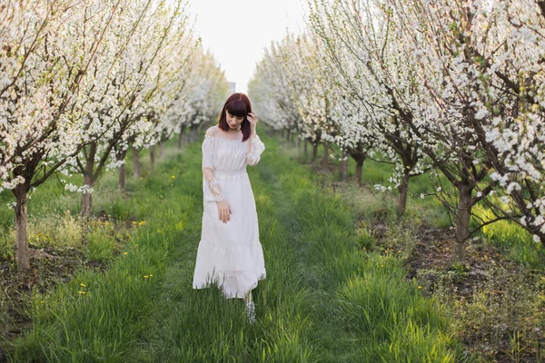 Mulher linda em vestido branco andando no pomar florescendo — Fotografia de Stock