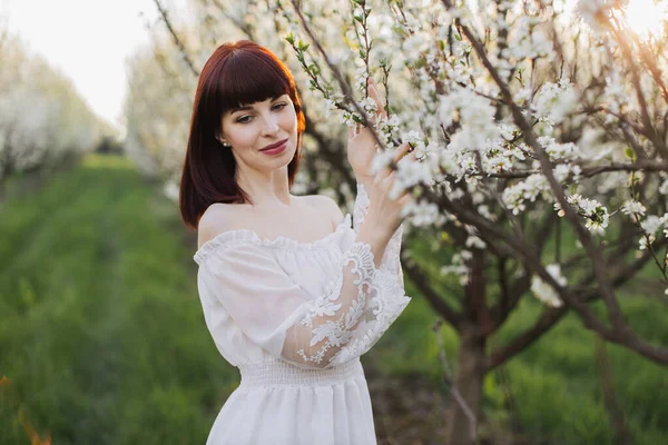 Charmante dame en robe blanche touchant fleur de pommier — Photo