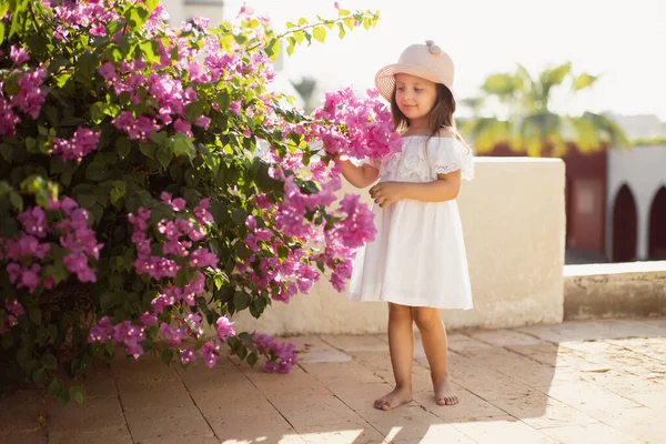 Retrato de uma menina bonito e bonito em um fundo de flores rosa florescendo de árvore tropical. — Fotografia de Stock