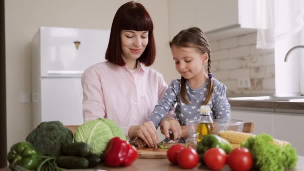 Menina bonito e sua bela mãe em roupas casuais estão cortando cebola — Vídeo de Stock
