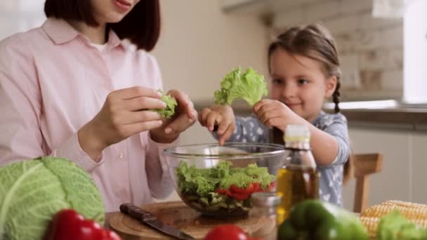 Nahaufnahme von Mutter und Tochter beim Kochen in der Küche beim Zubereiten von Essenssalat — Stockvideo