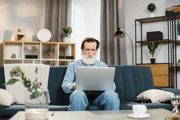 Καυκάσιος συνταξιούχος με γκρίζα γενειάδα σε casual ένδυμα κάθεται σε άνετο καναπέ και εργάζεται σε φορητό υπολογιστή — Φωτογραφία Αρχείου