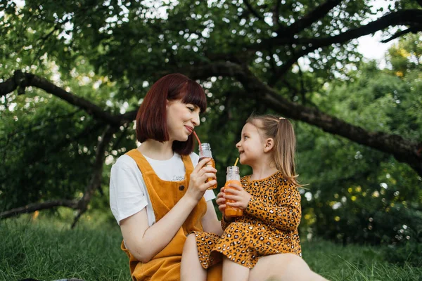 Piquenique Parque Verão Close Retrato Mãe Solteira Com Filha Pequena — Fotografia de Stock