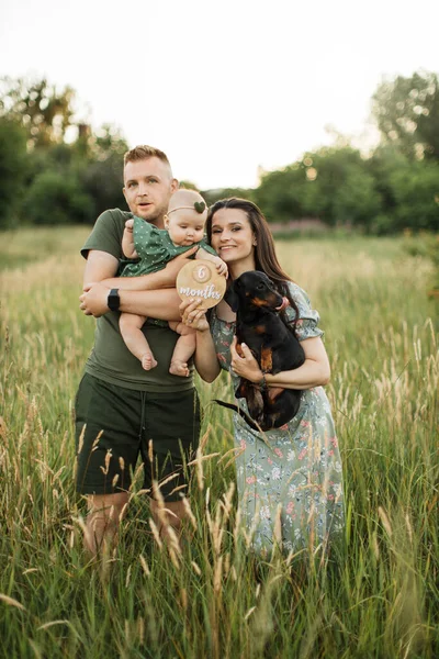 Beautiful caucasian man and woman standing in embrace with their cute little daughter and dog celebrating six months since the birth of a child on beautiful summer meadow. Family time on fresh air.