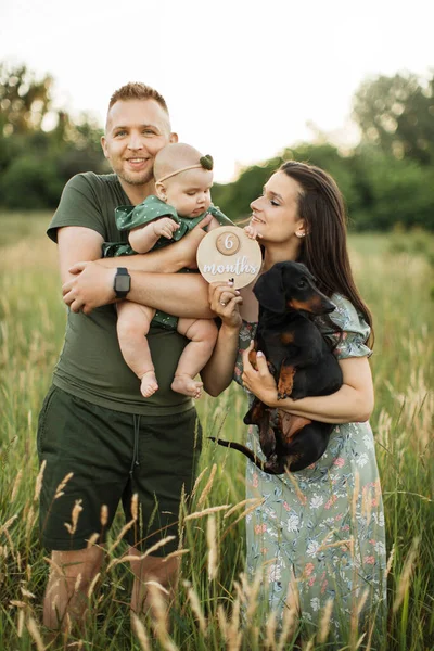 Portrait of happy young parents embracing little cute daughter and their dog celebrate six months since the birth of a child while standing on the field on fresh air.