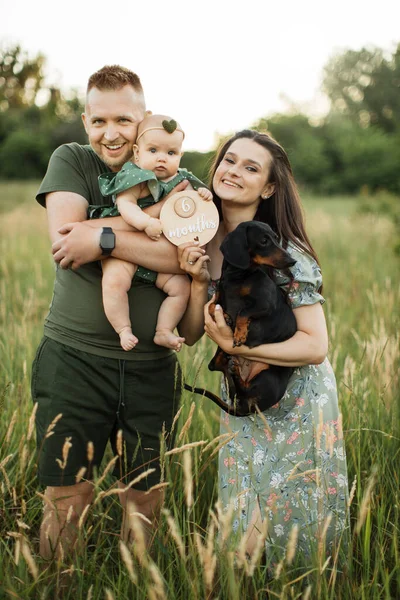 Portrait of happy young parents embracing little cute daughter and their dog celebrate six months since the birth of a child while standing on the field on fresh air.