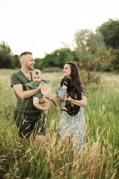 Joyful young parents playing with cute daughter and their dog celebrate six months since the birth of a child outdoors while standing on background of green meadow.