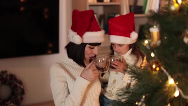 美丽的年轻的高加索裔母亲和她戴着桑塔帽的可爱的小女儿在装饰过的圣诞树上喝着热可可或巧克力的画像 — 图库视频影像