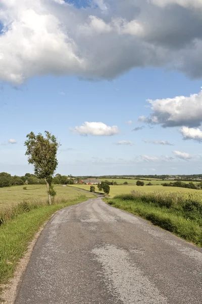 Small Country Road — Stock Photo, Image