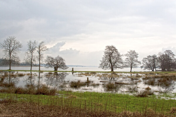 Flooded Fields