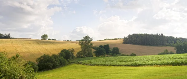 Verano en los campos — Foto de Stock