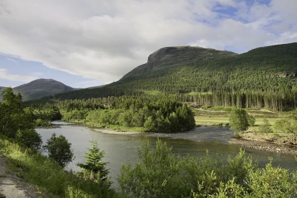 River Hemsila in Norway — Stock Photo, Image