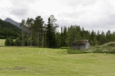 alan'ın eski kulübede