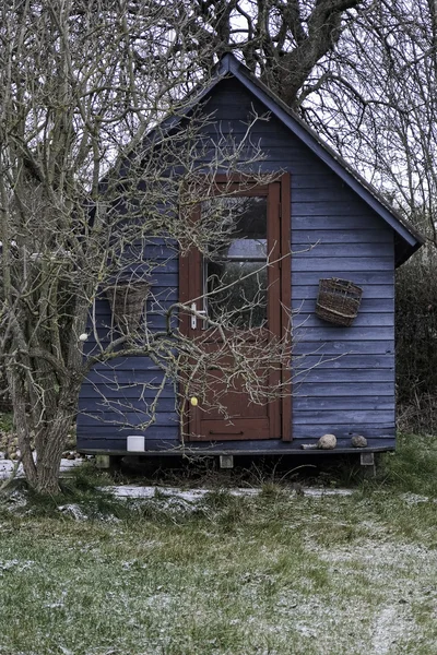 青い小屋、庭で — ストック写真