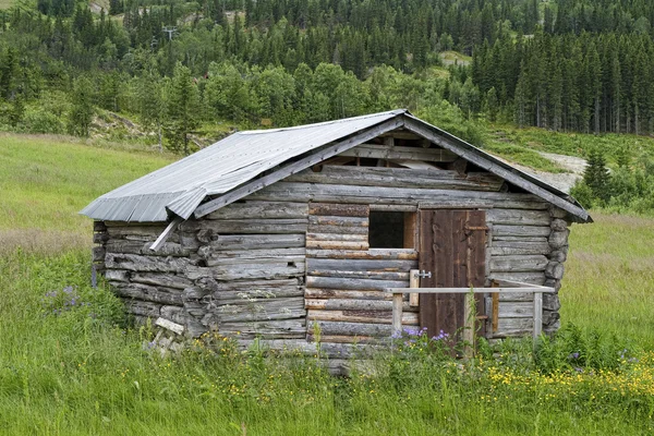 Old Shack en la montaña — Foto de Stock