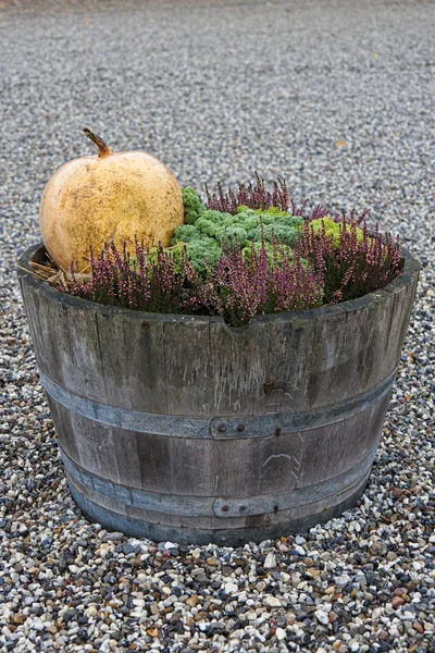 与蔬菜的木制浴缸 — 图库照片