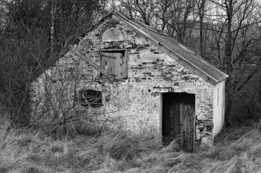 ormandaki eski kulübesi