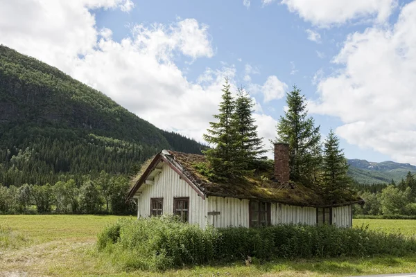 Gamla hus med granar — Stockfoto