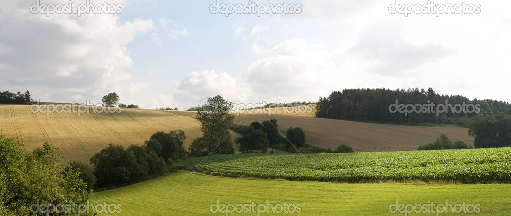 In the Countryside