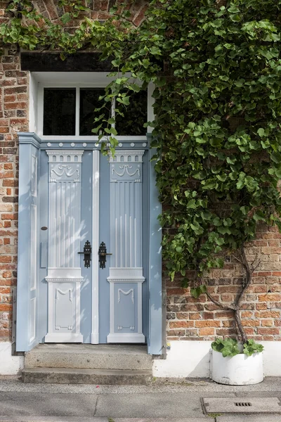 Puerta azul y vino — Foto de Stock