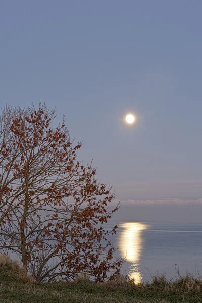 Luz de luna sobre el océano —  Fotos de Stock