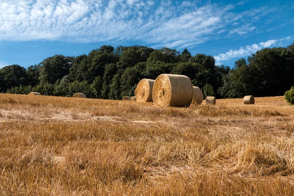 Bales Straw Field Skanderborg Denmark — Stock Photo, Image