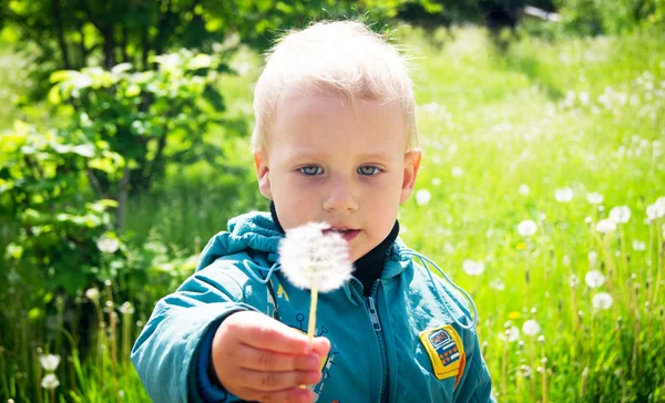 Маленький мальчик со своим одуванчиком в поле — стоковое фото