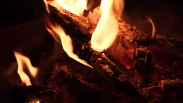 Chimenea Caliente Oscuridad Primer Fuego Leña — Vídeos de Stock