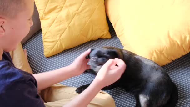 Хлопчик Грає Кидає Чорного Собаку Смішним Обличчям Вдома Сповільнення Концепція — стокове відео