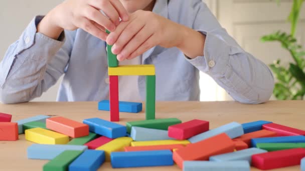 Niño Está Jugando Con Ladrillos Madera Colores Por Construcción Torre — Vídeo de stock