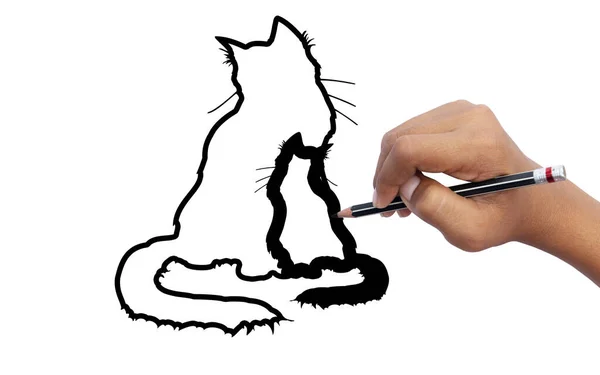 Students learn to drawing cats, sketch, art education of students, concept of art education and imagination