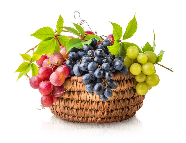 Kosár szőlőt — Stock Fotó