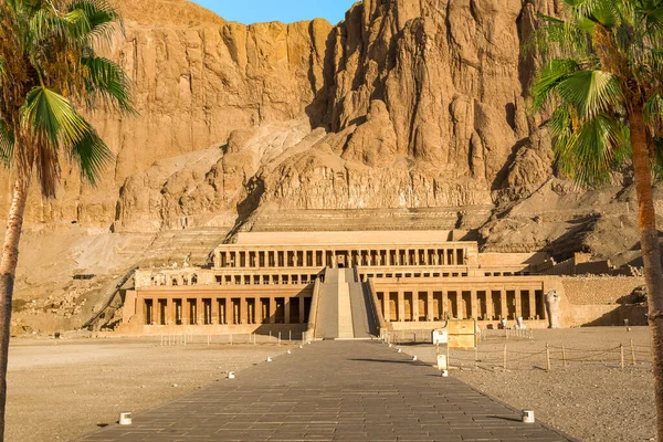 Φοίνικες Στο Σοκάκι Στο Ναό Hatshepsut Στο Λούξορ Αίγυπτος — Φωτογραφία Αρχείου