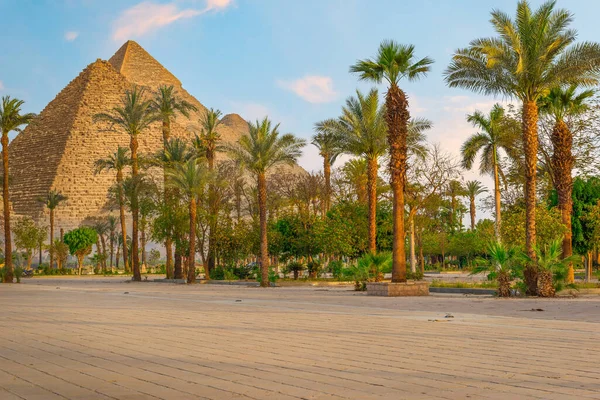 Park Palm Trees Great Pyramids Cairo Egypt — Stockfoto