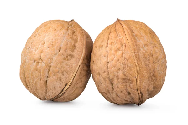 Two Whole Walnuts Isolated White Background — Zdjęcie stockowe