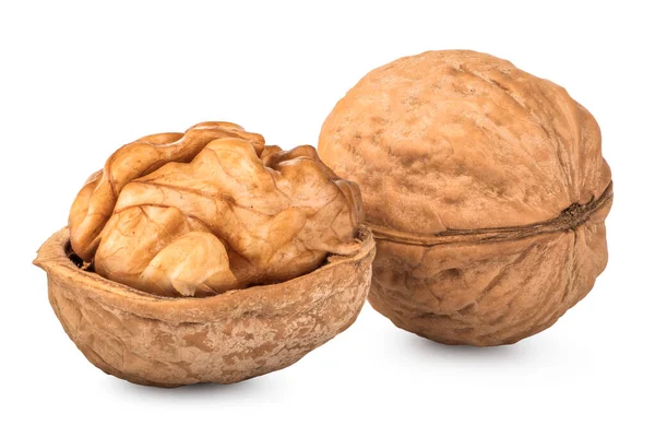 Walnuts Close Isolated White Background — Foto Stock